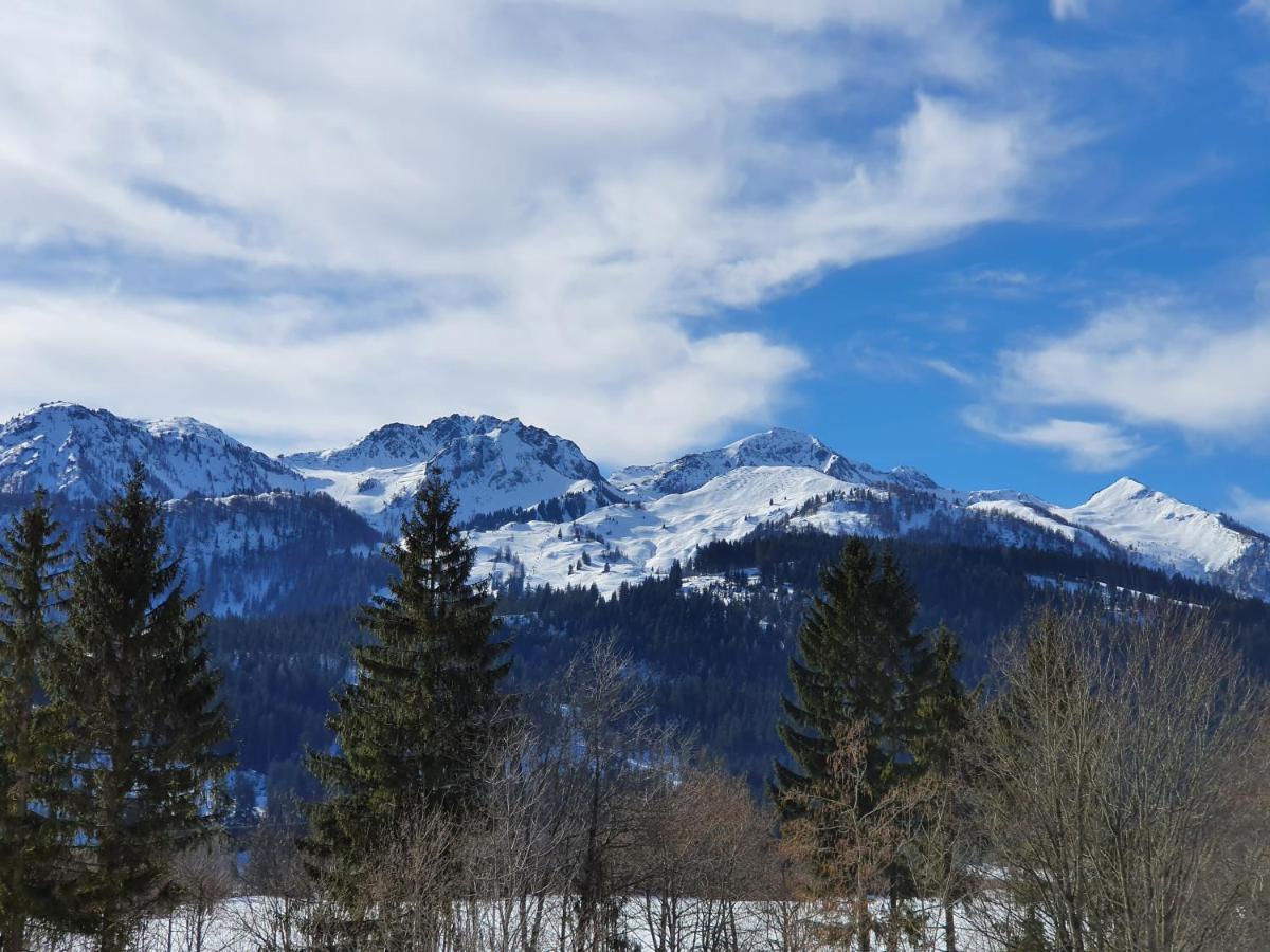 Ferienwohnung App. Mountain View Fieberbrunn Exteriér fotografie