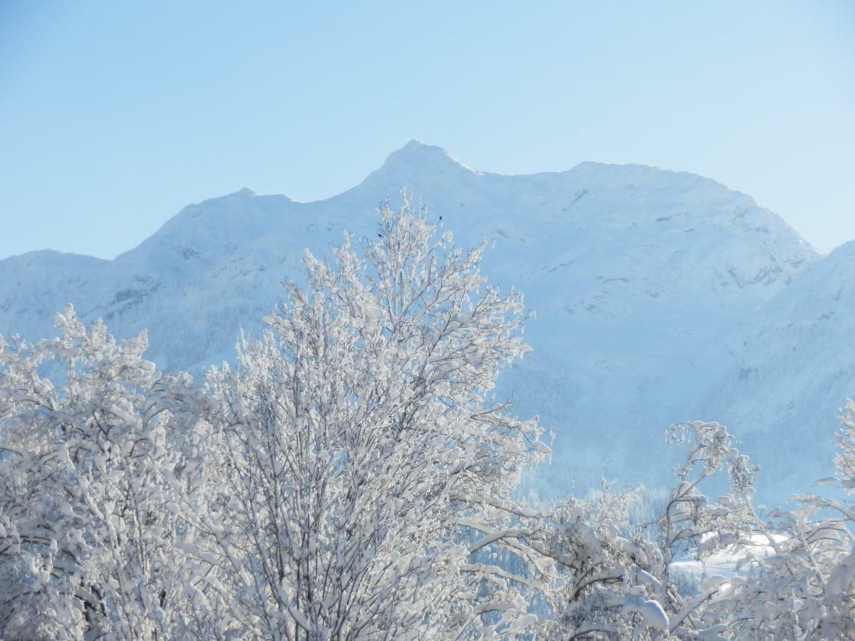 Ferienwohnung App. Mountain View Fieberbrunn Exteriér fotografie